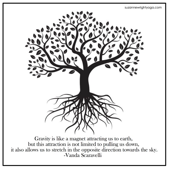 Gravity Scaravelli.jpg