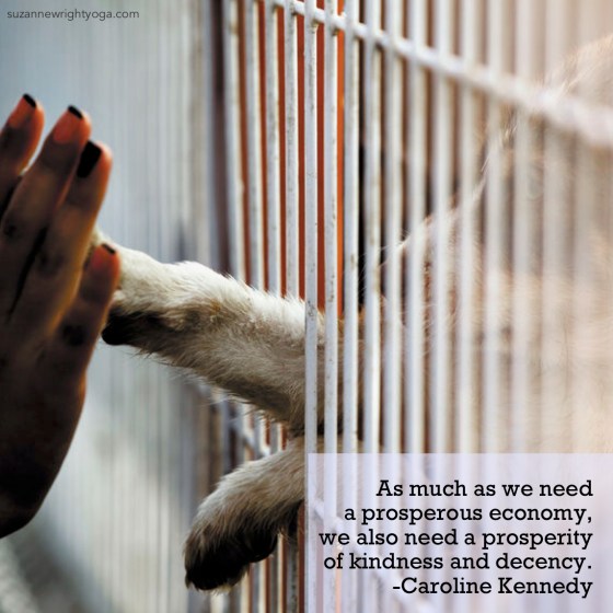 Kindness and Decency Kennedy 9-19-18.jpg