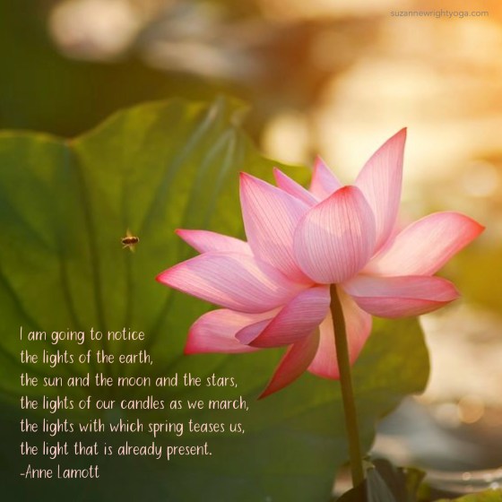 Earth Lights Lamott 4-10-19
